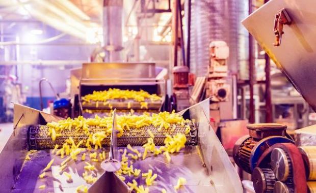 How Agro-Processing Is Empowering Farmers and Boosting Food Security in Nigeria