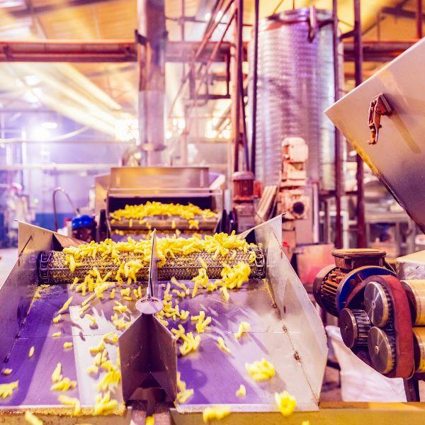 How Agro-Processing Is Empowering Farmers and Boosting Food Security in Nigeria