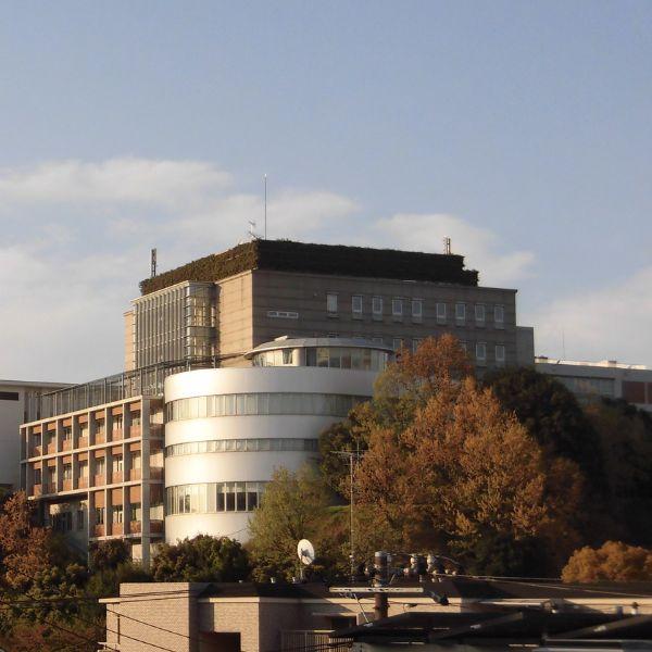 Why Every Nigerian Business Needs Professional Facility Management Services